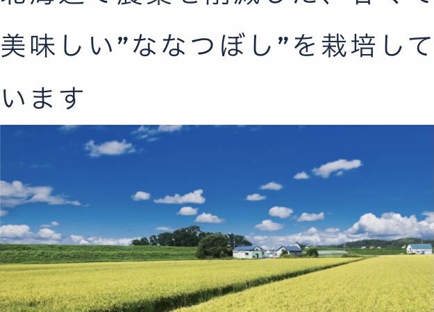 北海道米のルーツを探る：稲作、クラーク博士、そして駅逓の物語（北広島市島松） 