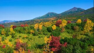 北海道の紅葉の魅力を元バスガイドがご案内致します 