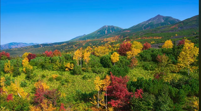 北海道の紅葉の魅力を元バスガイドがご案内致します 